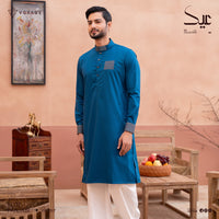 Luxury Panjabi-1017