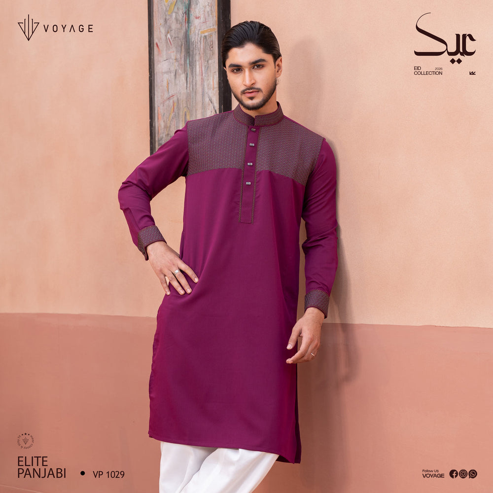 Luxury Panjabi-1029