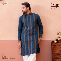 Luxury Panjabi-1033
